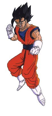vegeto.jpg