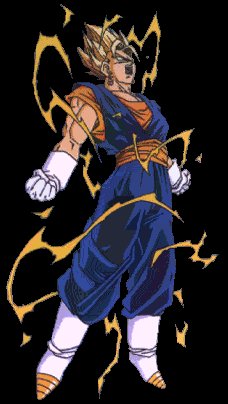 vegetto.jpg